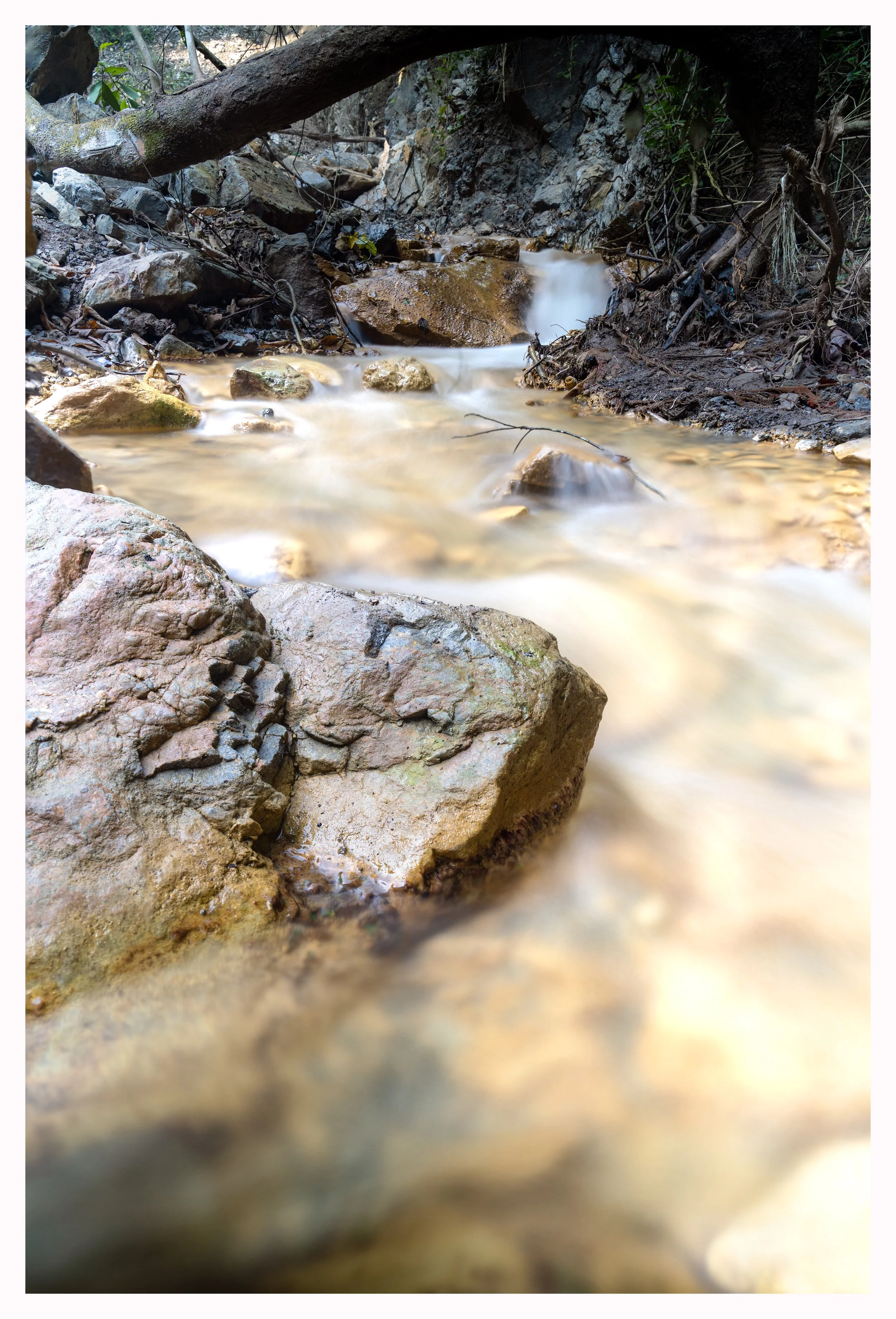 DSC01224-Edit.jpg