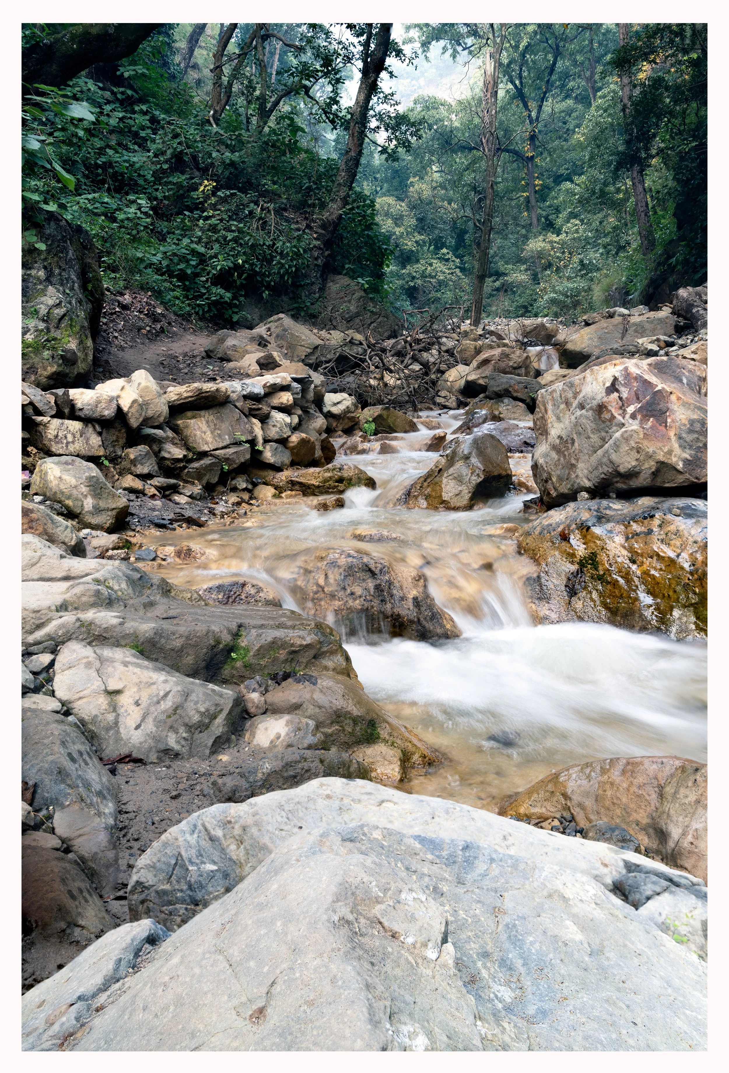 DSC01121-Edit.jpg