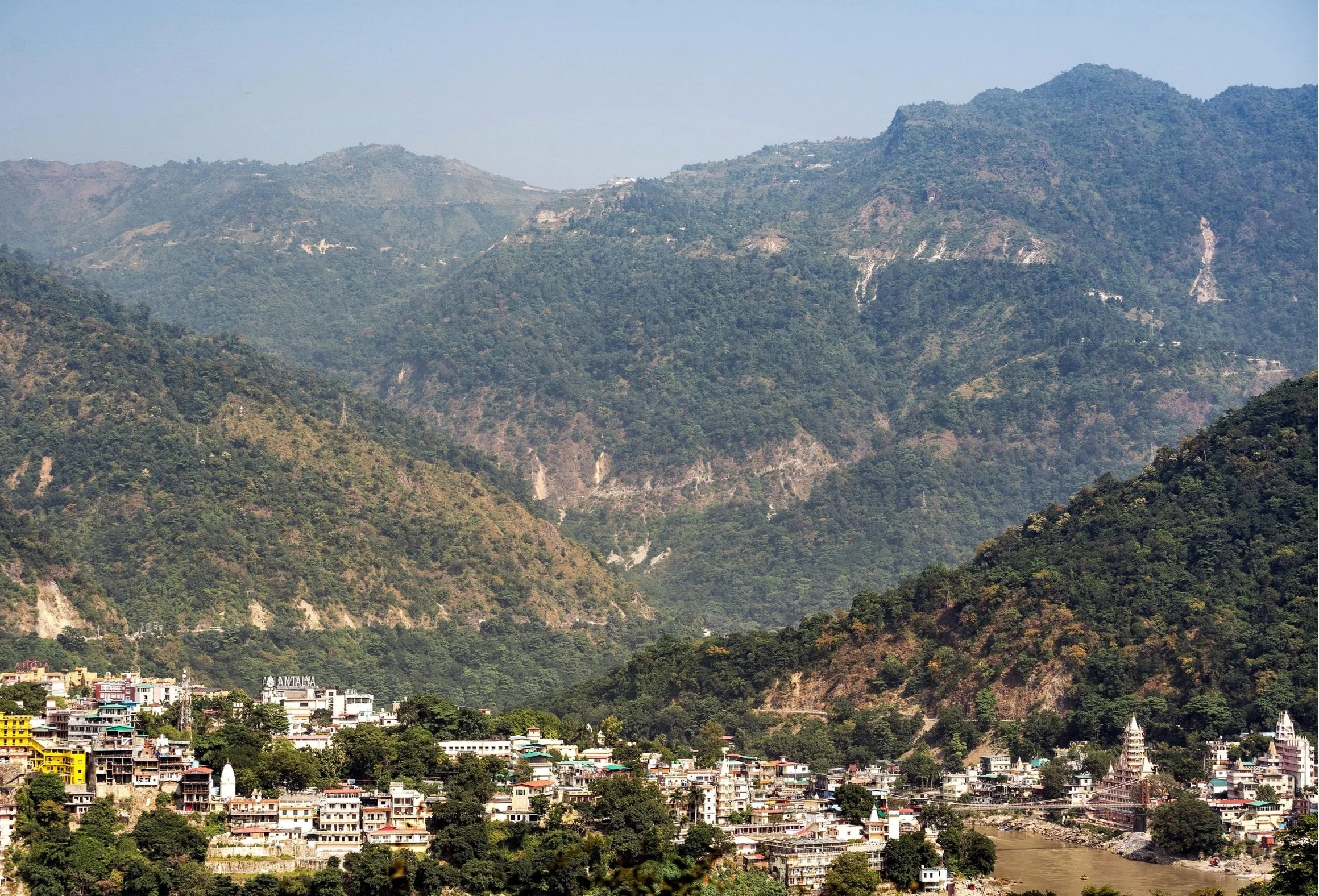 DSC00978 (2).jpg