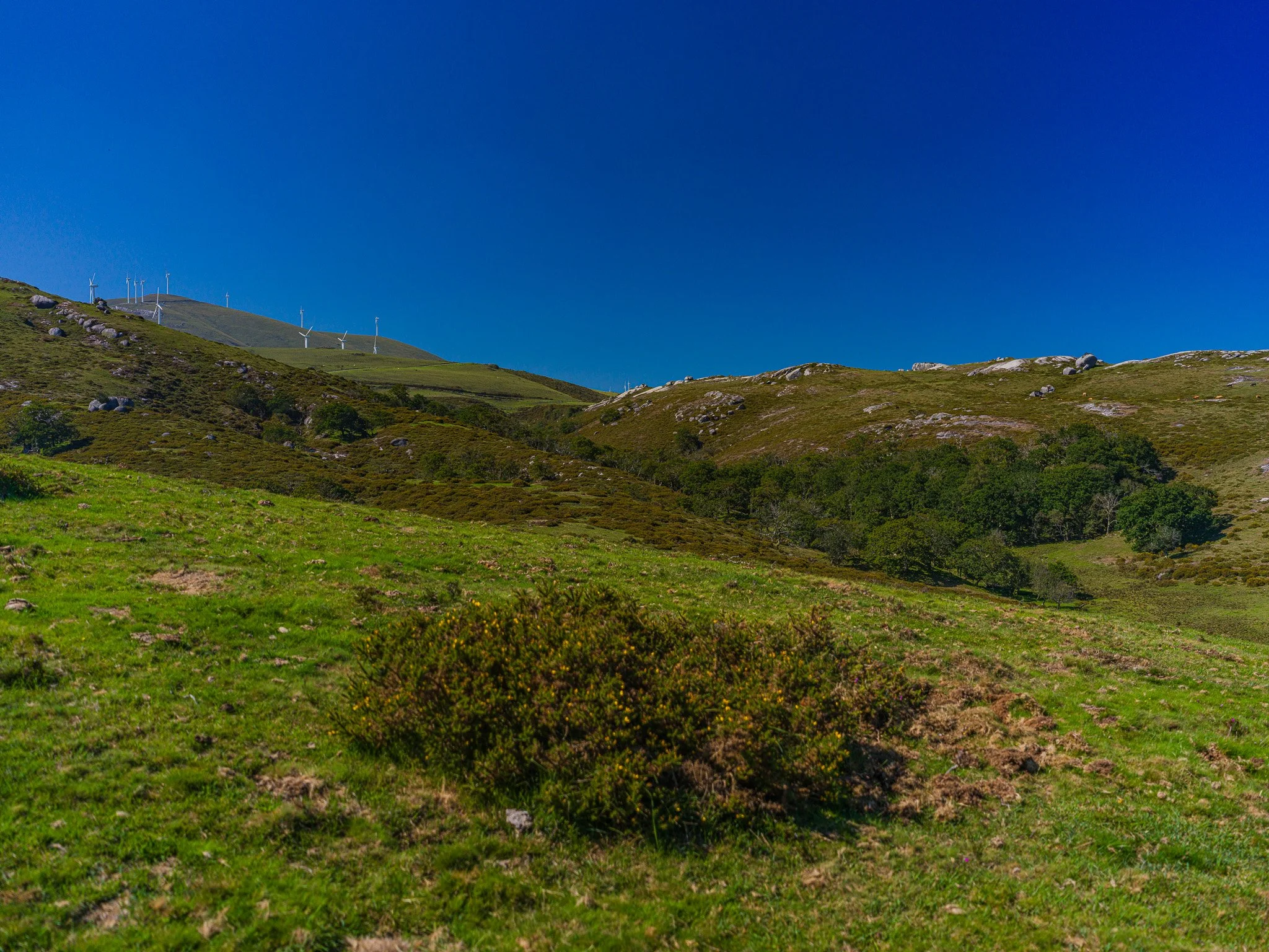AlfozMontaña4.jpg