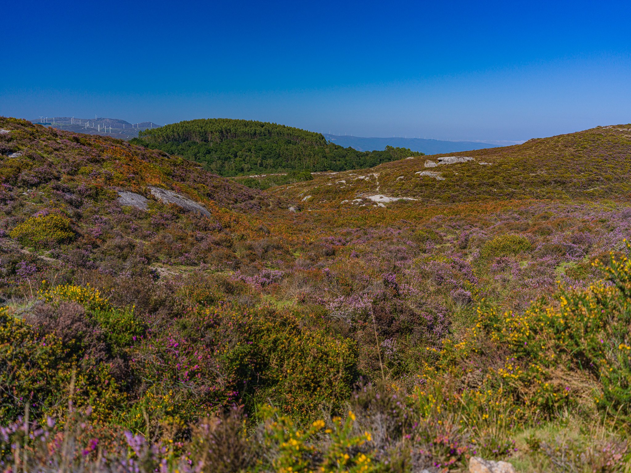 B0003747.jpg