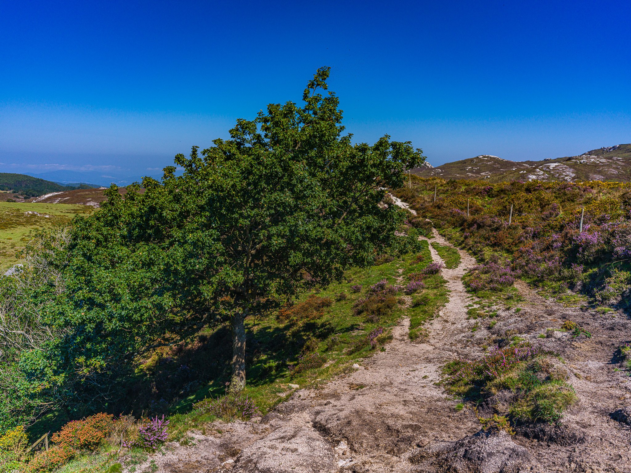 AlfozMontaña3.jpg