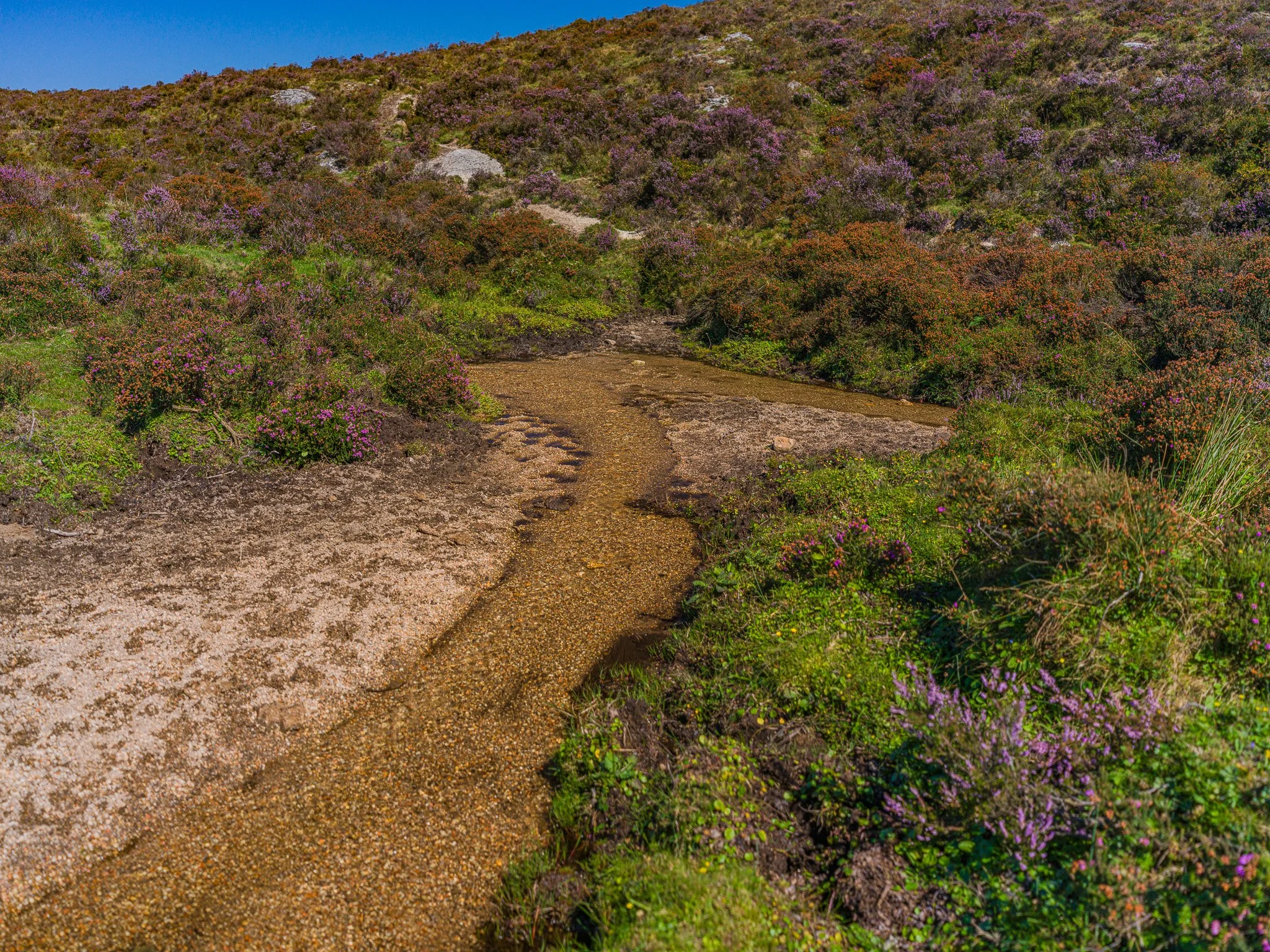 AlfozMontaña6.jpg