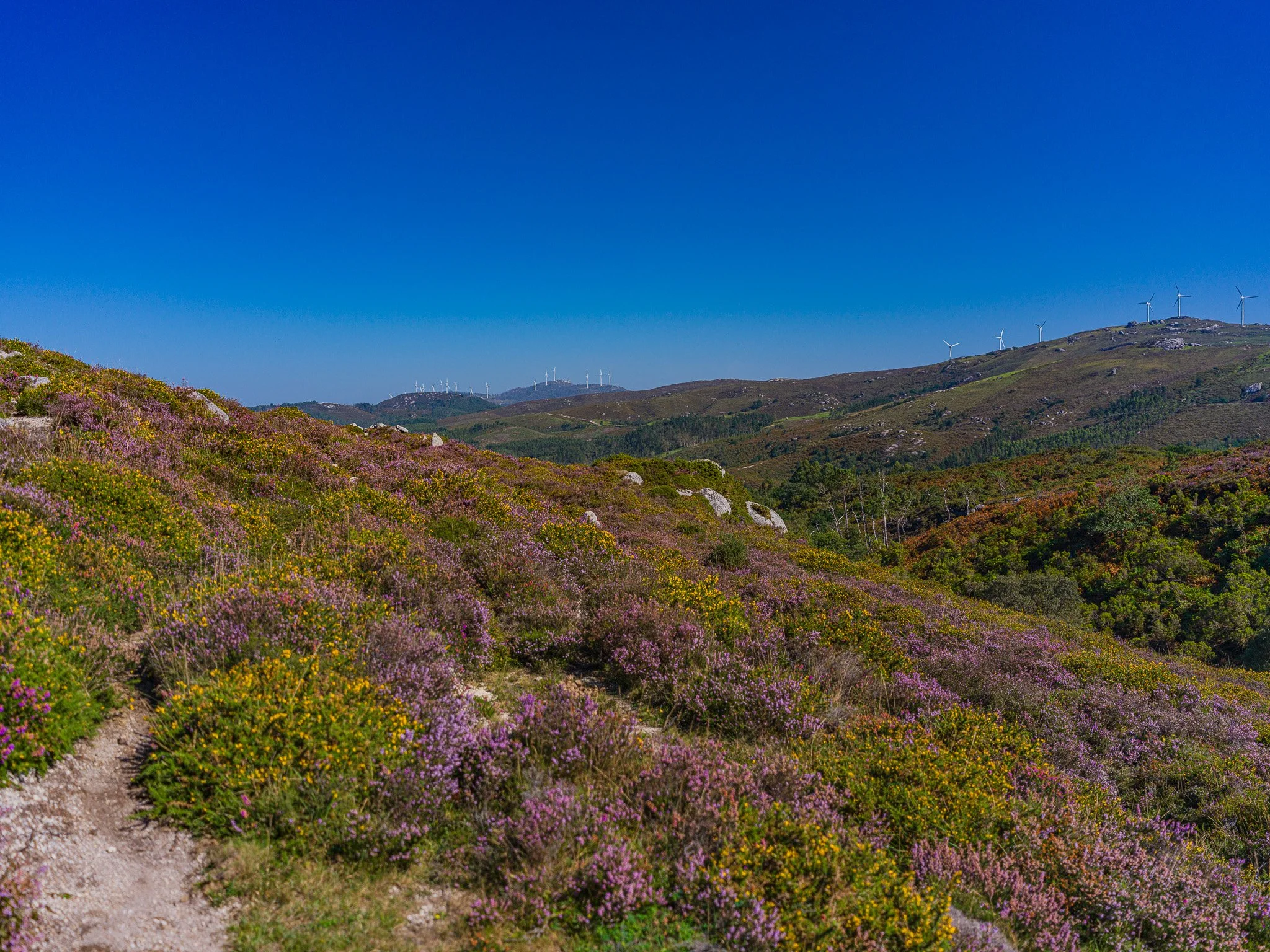 AlfozMontaña7.jpg