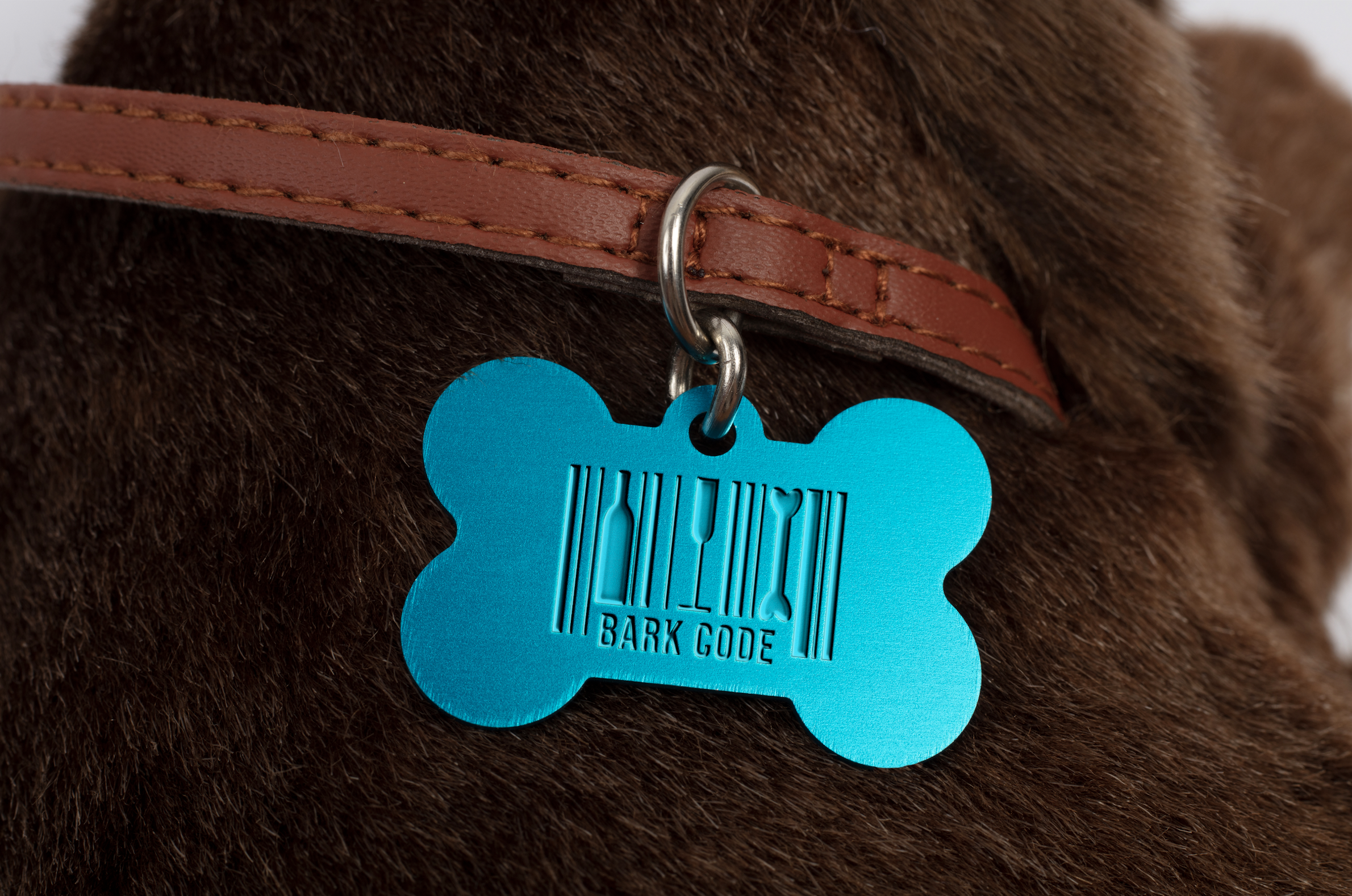 BarkCode_dog tag.png