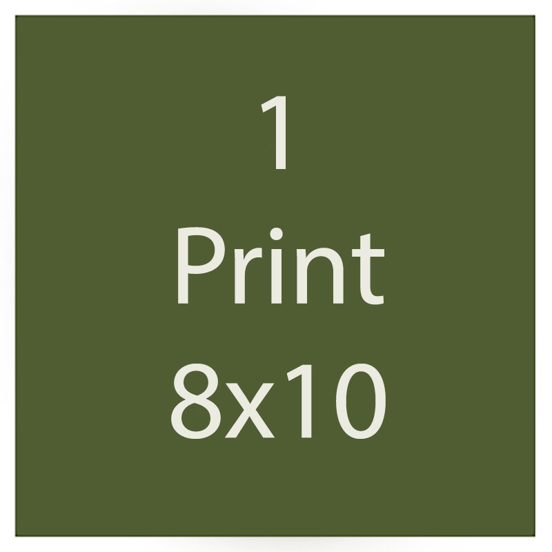 8x10.jpg
