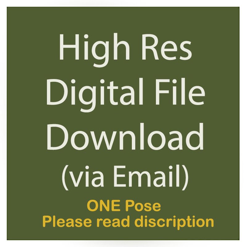 high_res_one.jpg