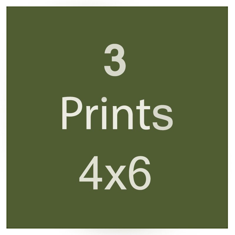 4x6.jpg
