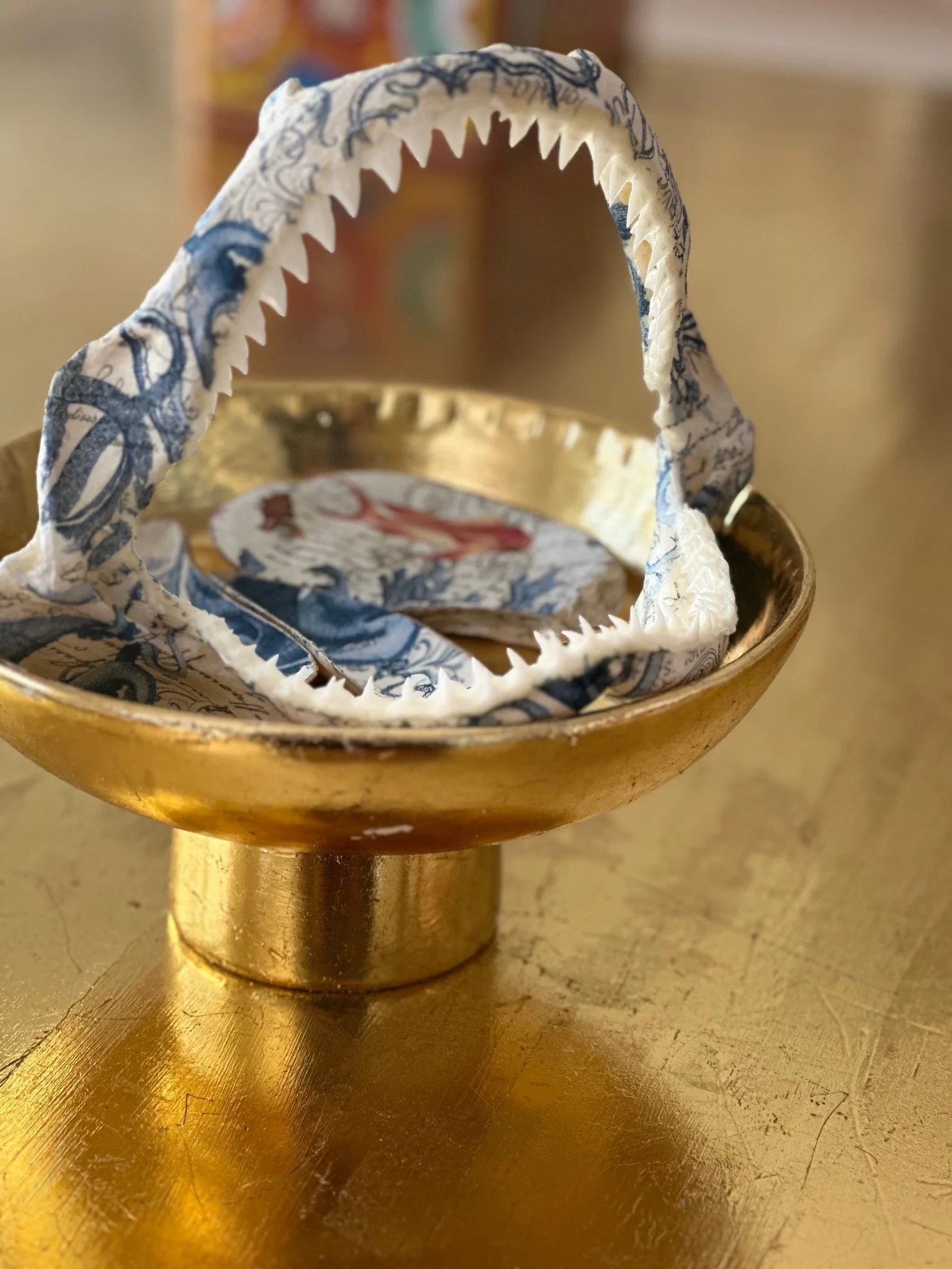 Decoupaged black reef tip shark jaw