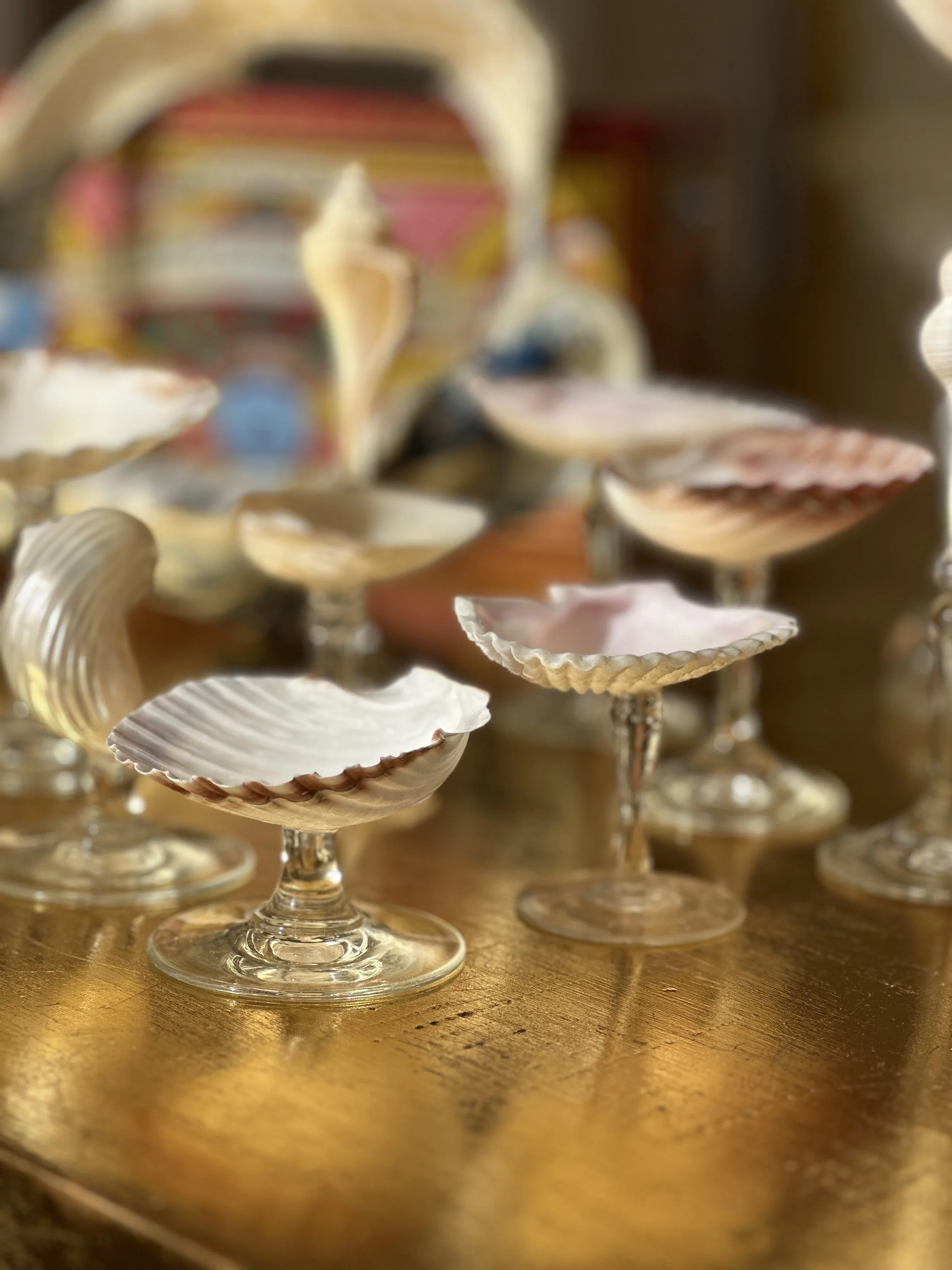Elegant scallop shell vessels