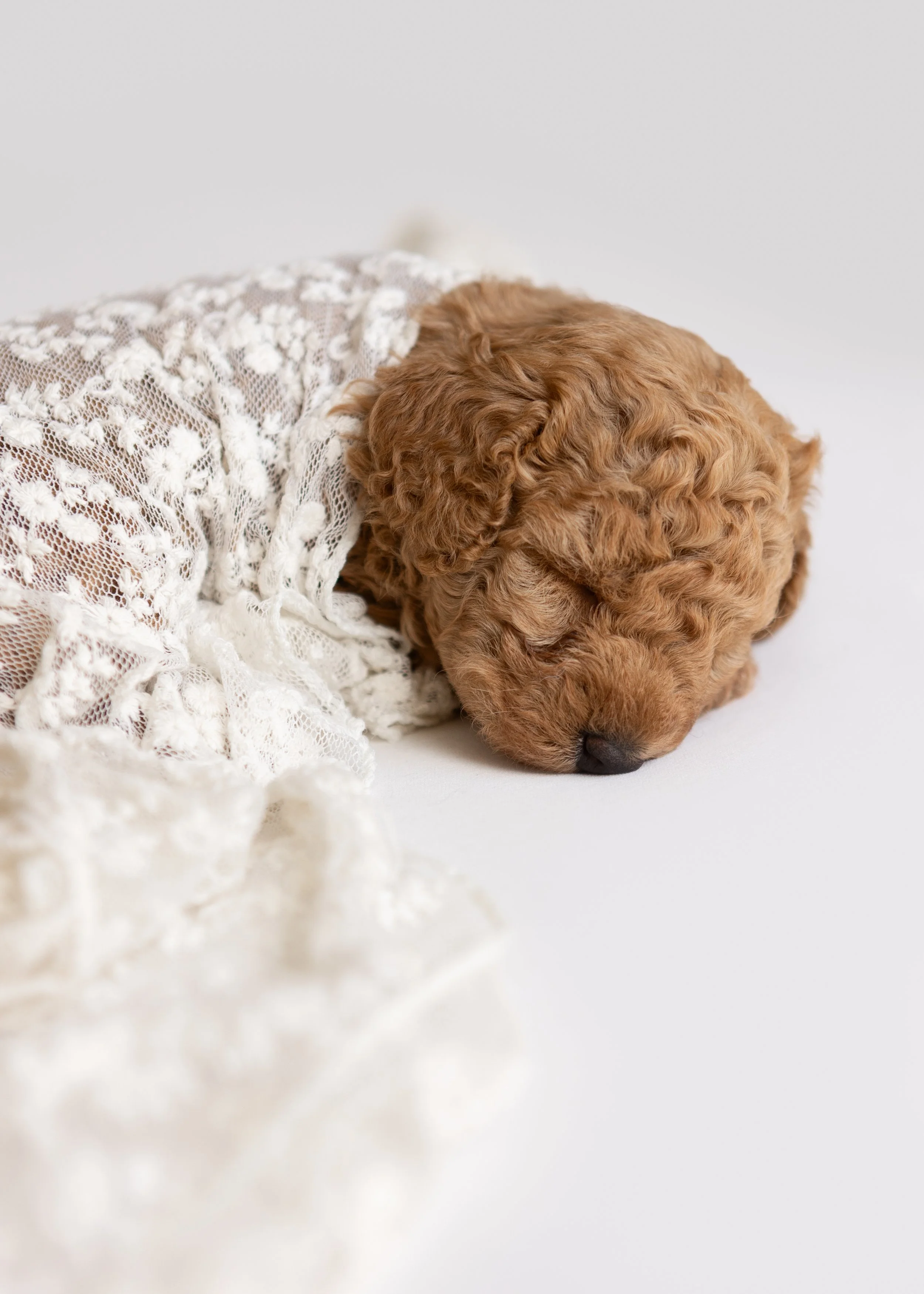 Molly's Girls 2025 -12.jpg