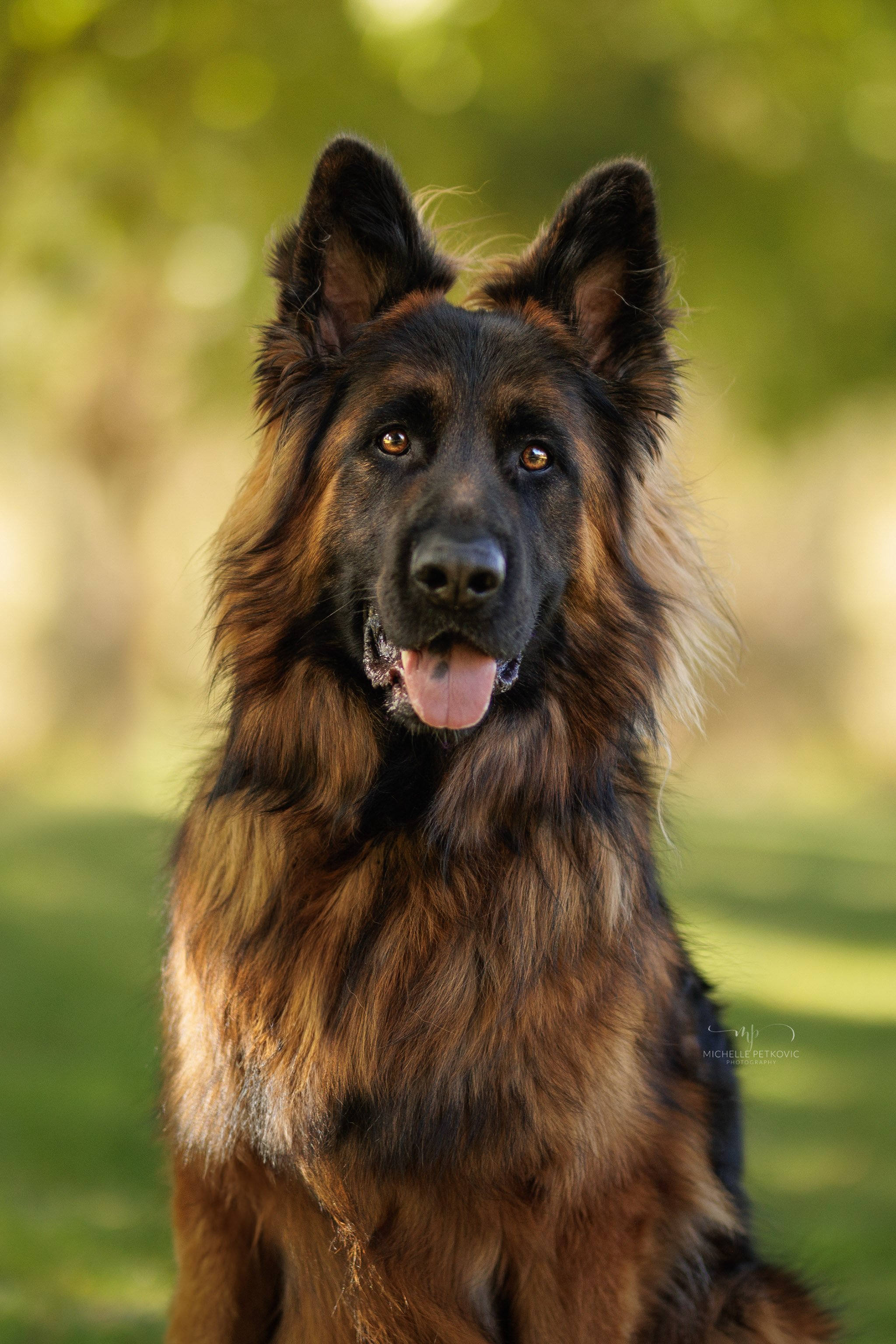 Paws Adventure -066.jpg