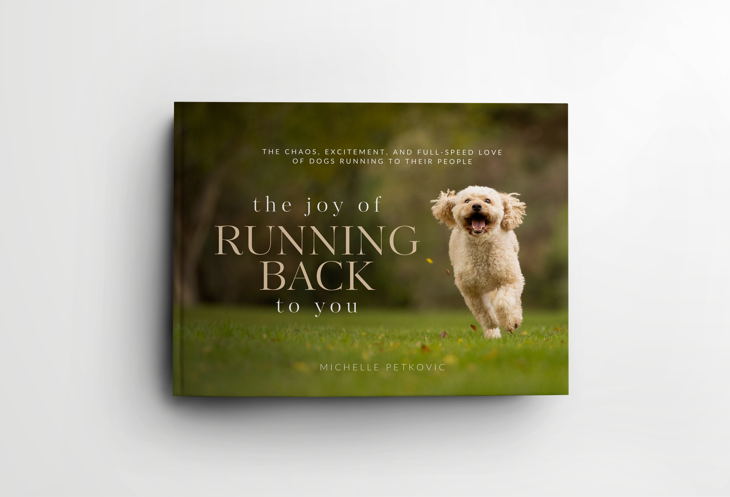 Actual Book Mock up HC.png