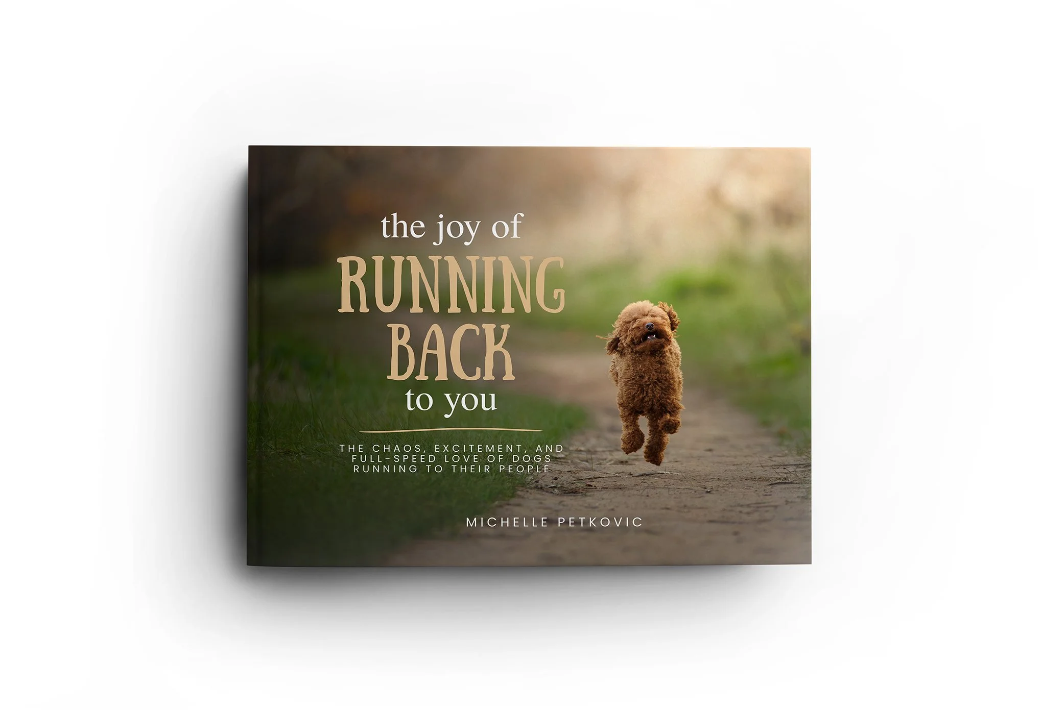 Album cover for the book the Joy of Running Back to You by Michelle Petkovic