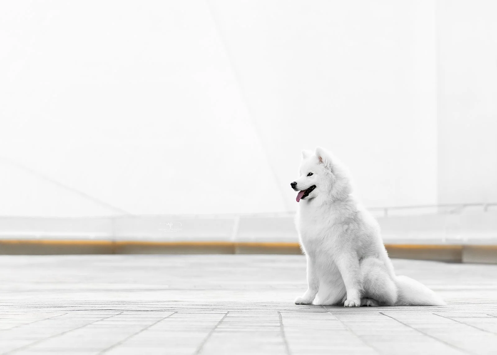 w-20240527-PETKOVIC -02.jpg