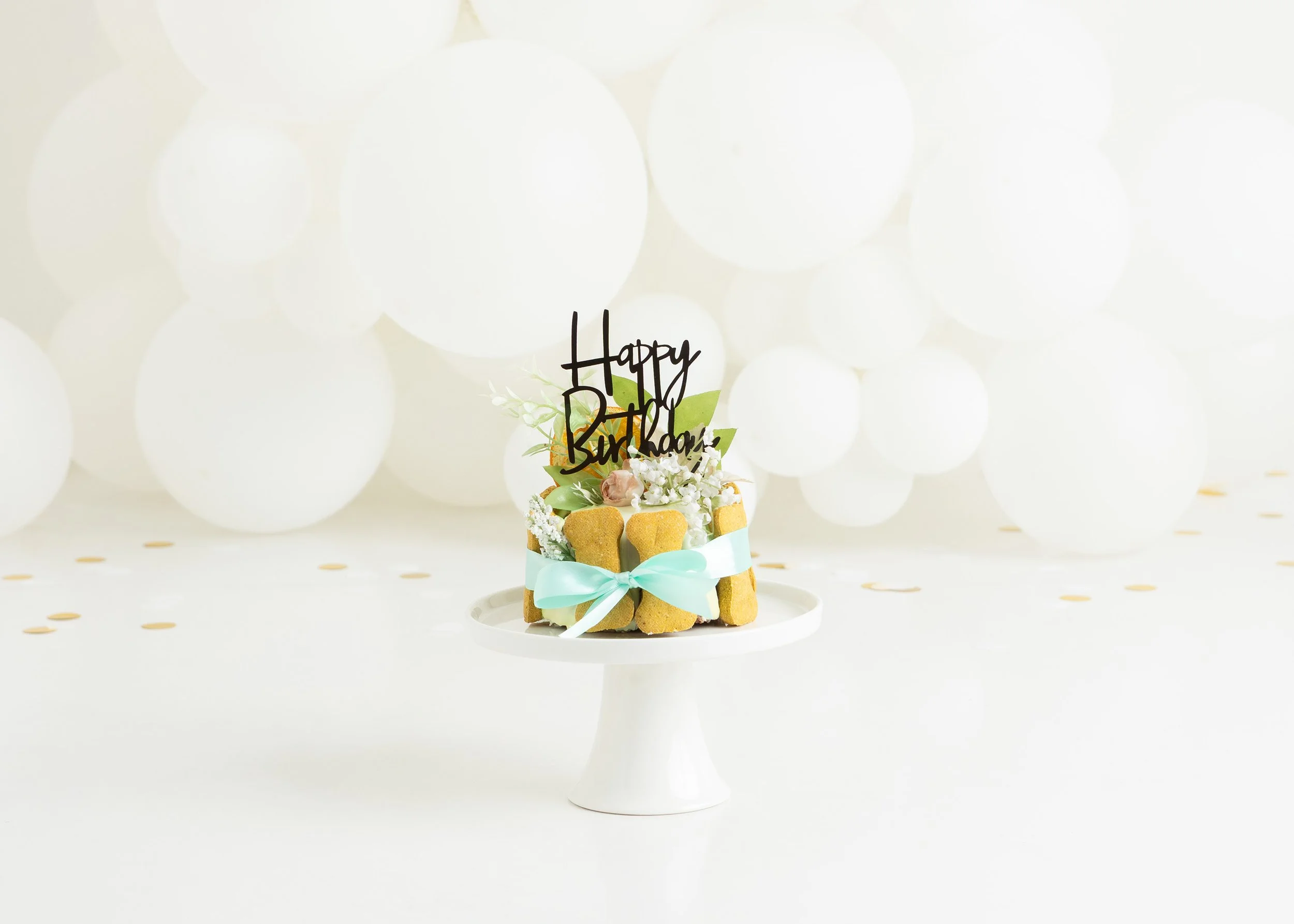 Dog cake smash Adelaide -19.jpg