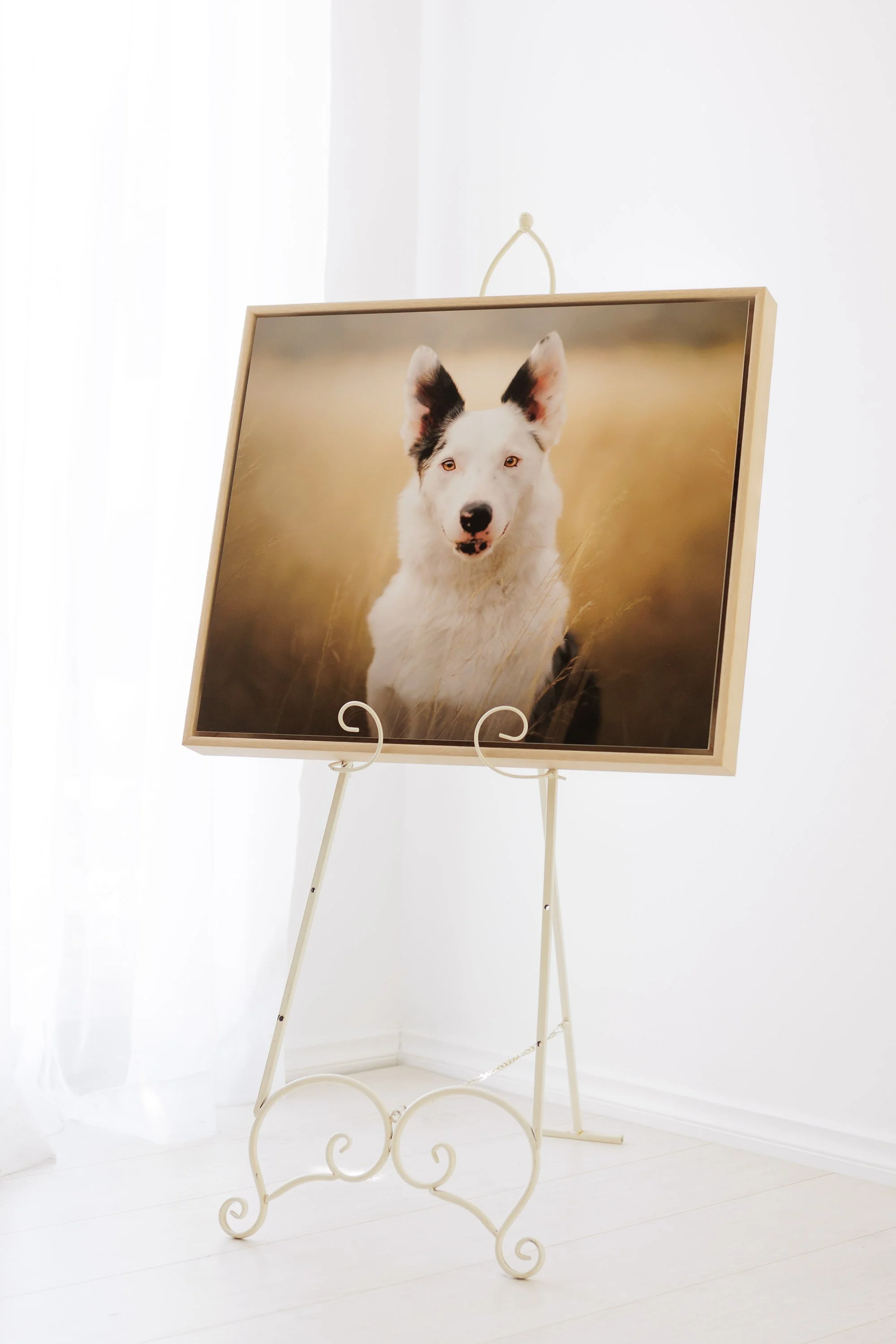 Photography Adelaide wall art -397.jpg