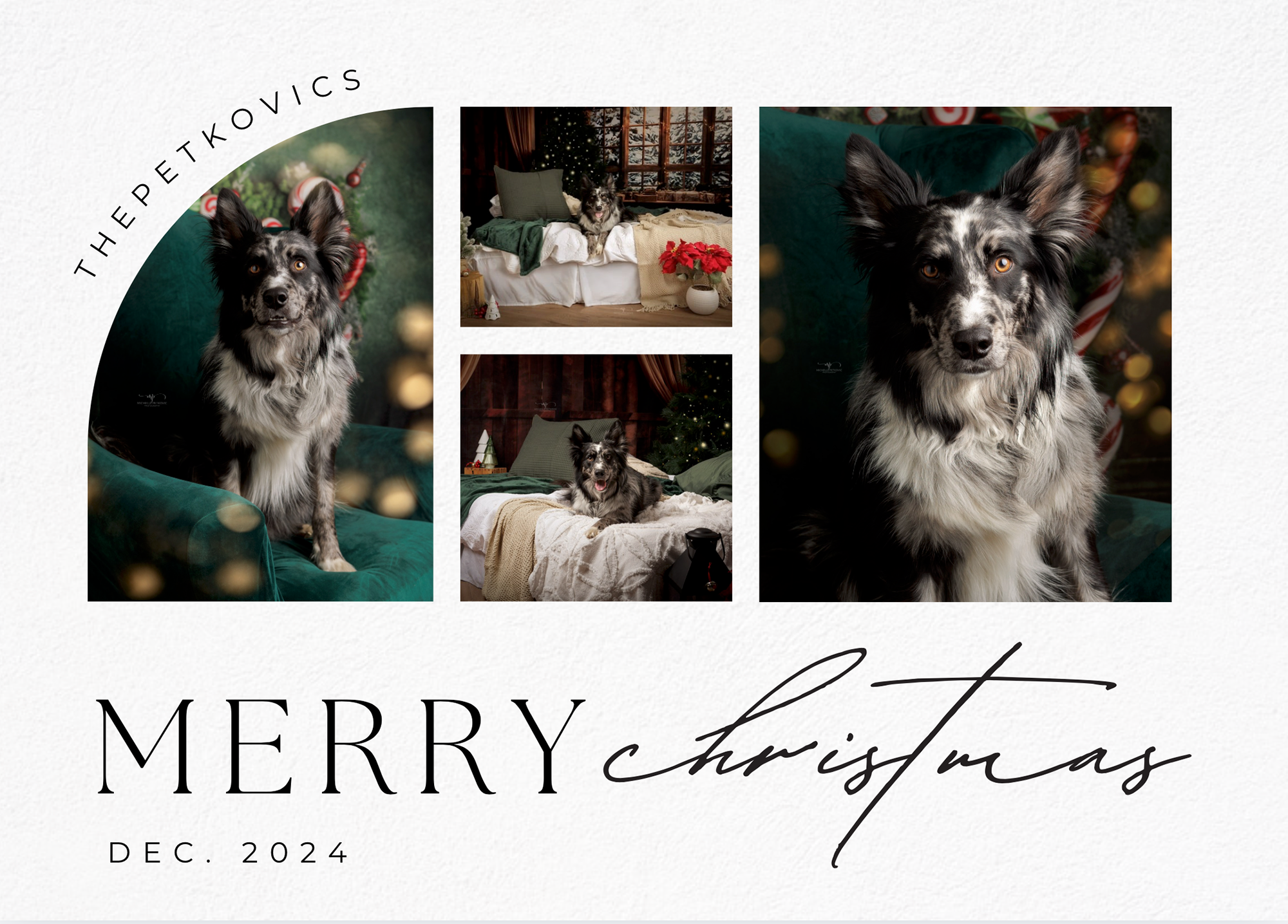Card 9: Jasper