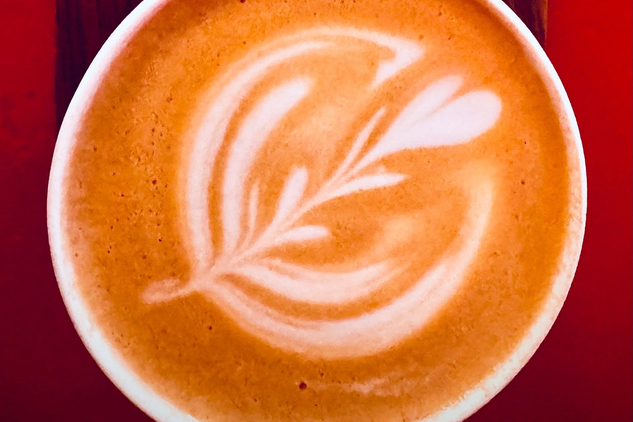 El tiempo de las&nbsp;cosas