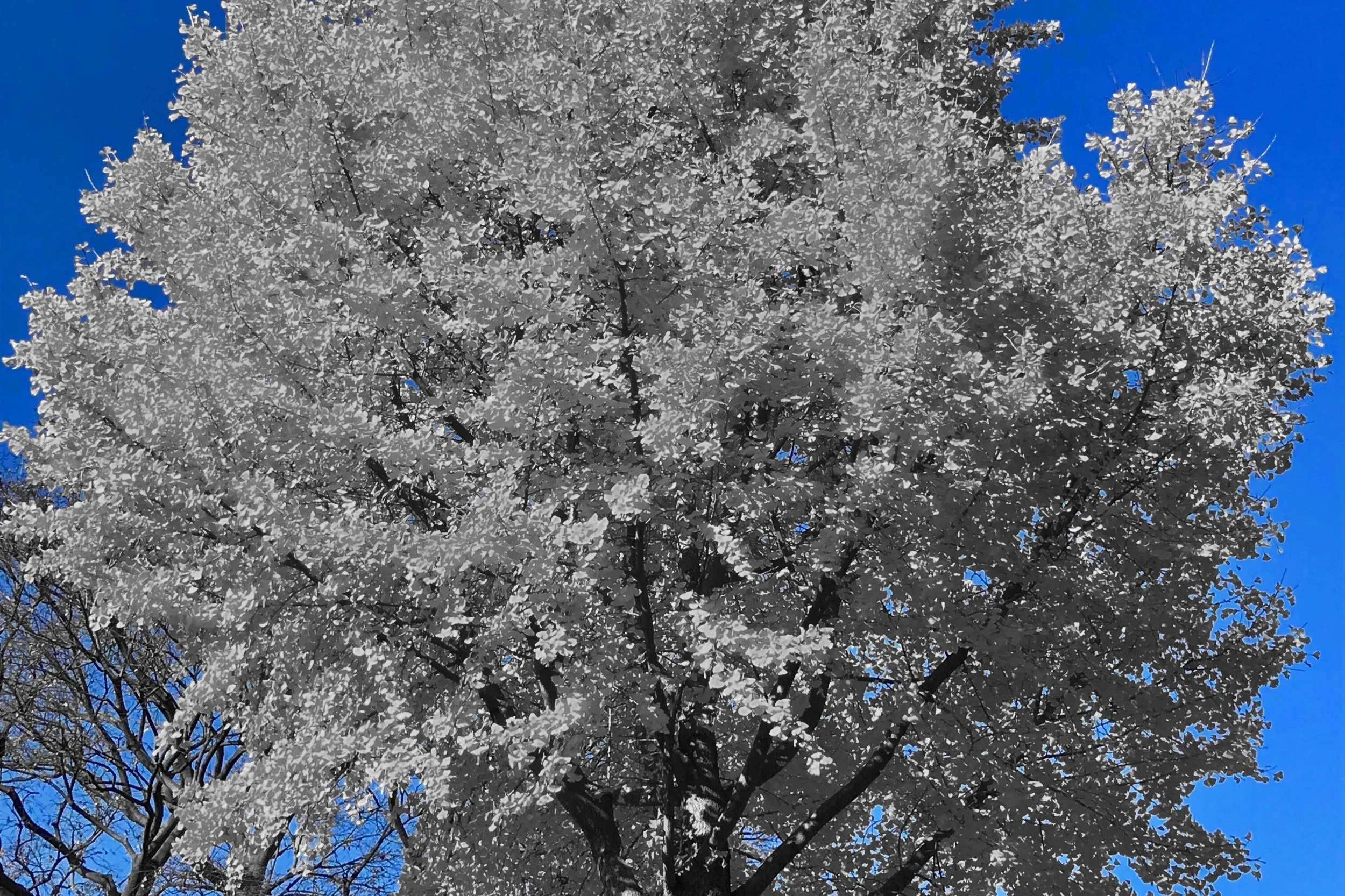 La poética de la&nbsp;educación