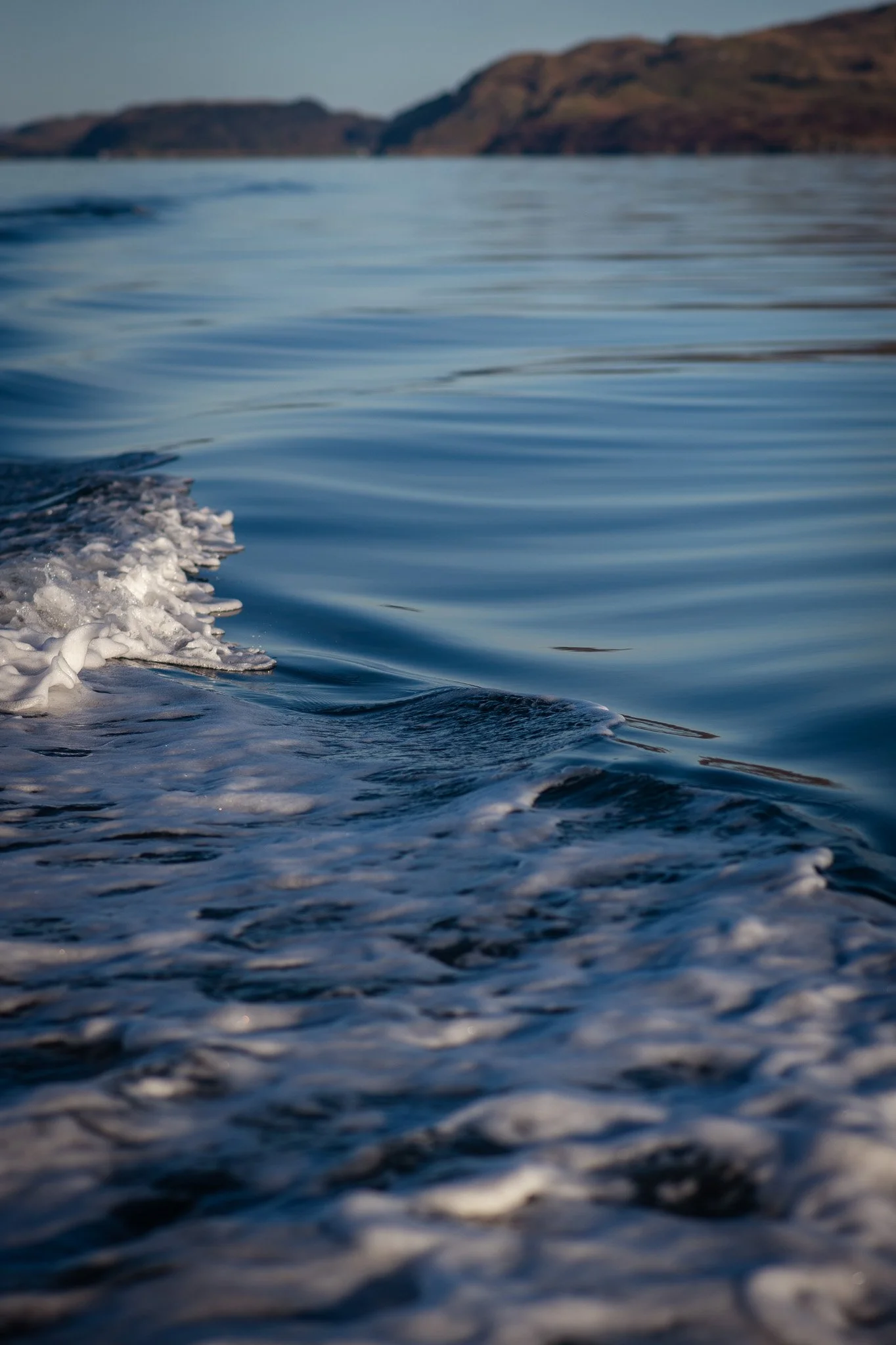 DSC_7040-2.jpg