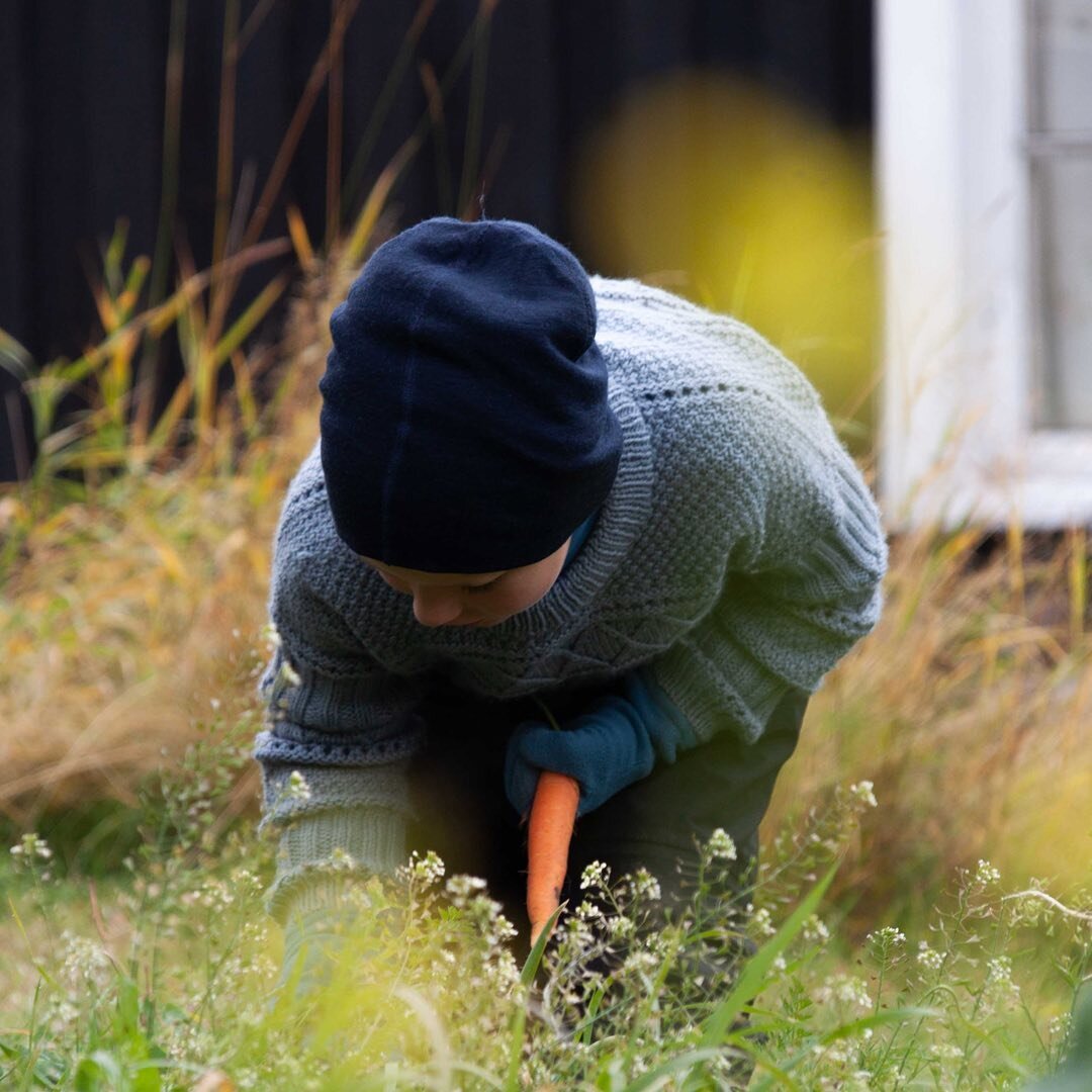 G&aring;r du med en dr&oslash;m om &aring; bo p&aring; sm&aring;bruk?🐓

Sm&aring;bruket p&aring; Bj&oslash;kne tilbyr en unik mulighet for deg som &oslash;nsker &aring; utforske og kjenne p&aring; sm&aring;brukslivet🥕

#smabruketbjokne #sm&aring;br
