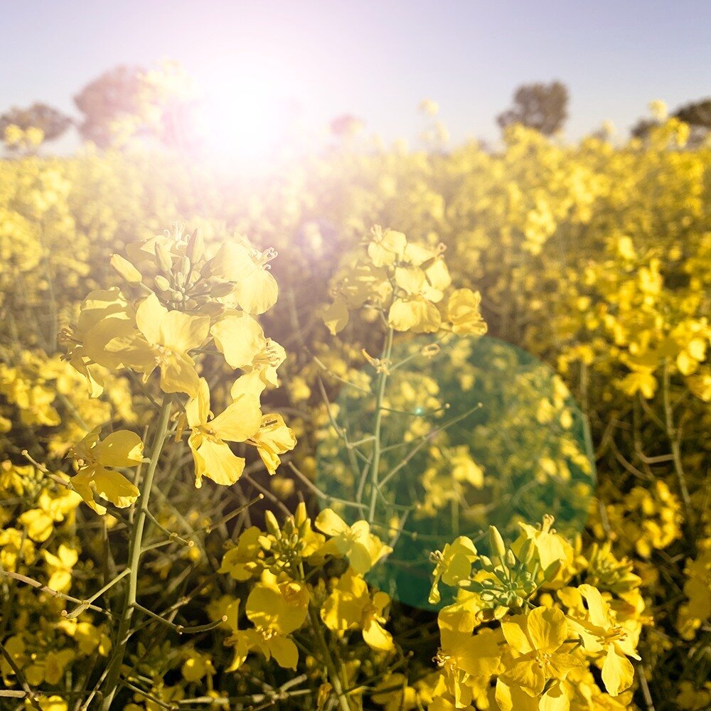 &bull; for those that work in hectares, thank you &bull;⁠
⁠
I have the privilege of working with a lot of groups and individuals in the agricultural space from all over WA. I never cease to be inspired and learn something new every project and every 