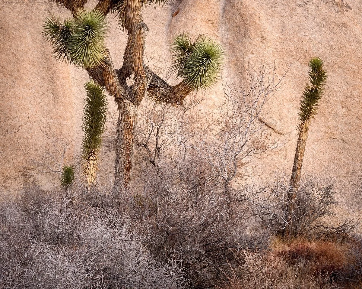 Vissa dagar saknar jag det k&auml;rva, spretiga och karga landskapet. Idag &auml;r en s&aring;dan dag. 😀