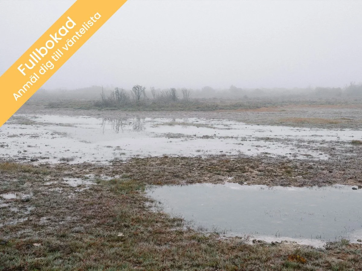 Öländska vinterlandskap