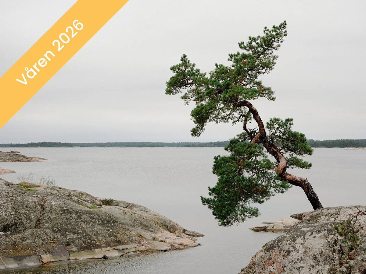 Stanna hemma: Starta ditt fotoprojekt