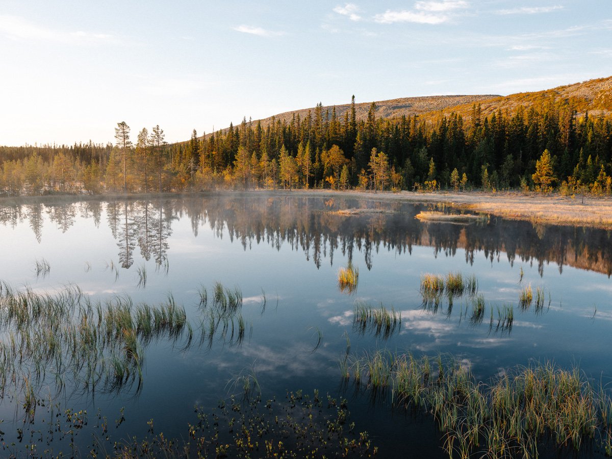 Höst i Fulufjället