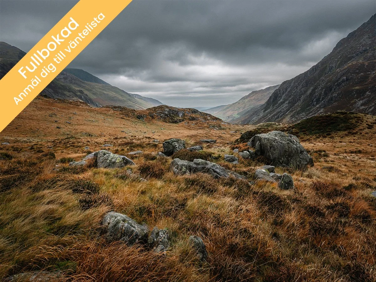 Snowdonias berg, skogar och sjöar