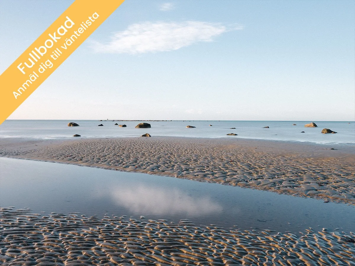 Från landskap till färdig bild - Falkenberg