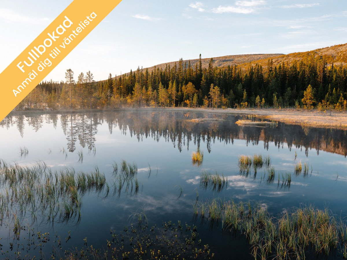 Höst i Fulufjället