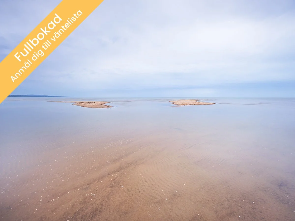 Från landskap till färdig bild - Falkenberg