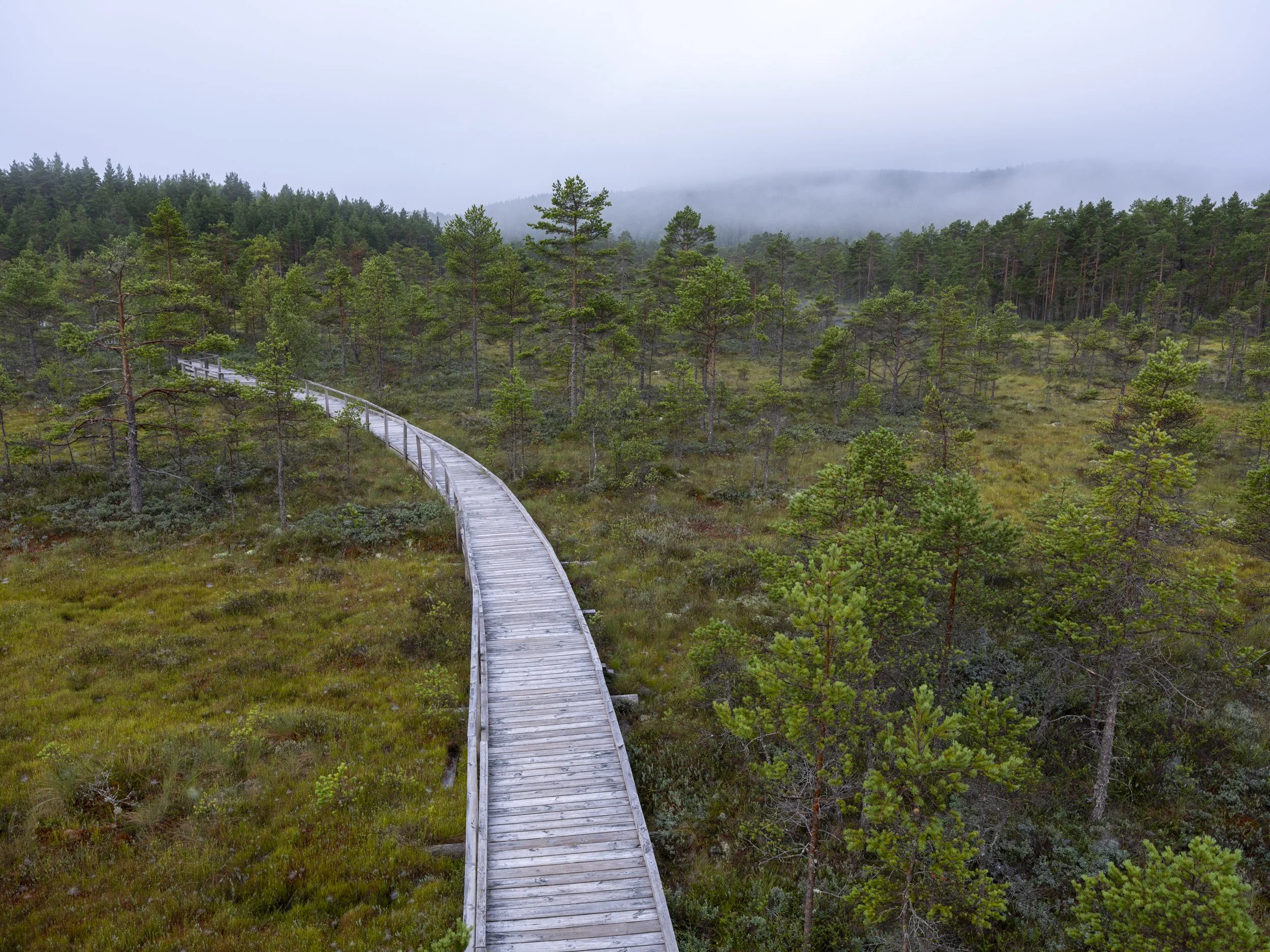 Stanna hemma: Starta ditt fotoprojekt
