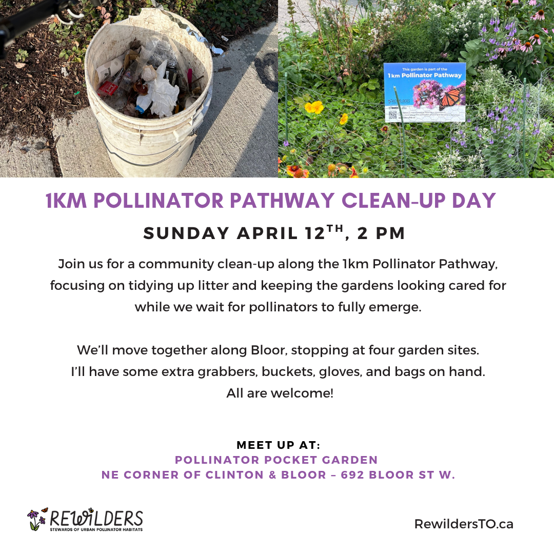 Spring Clean-Up: 1km Pollinator Parthway