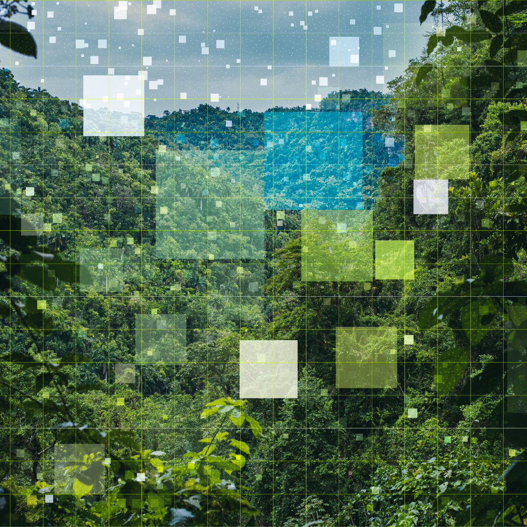 Nature landscape with digital overlay depicting a lush green forest, possibly a jungle, with superimposed squares and grids blending technology with the natural scene.