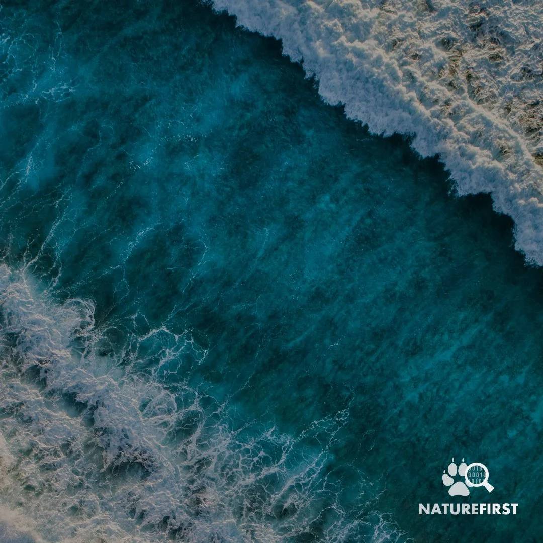 Conference Programme | Join, Learn, Preserve — Nature FIRST