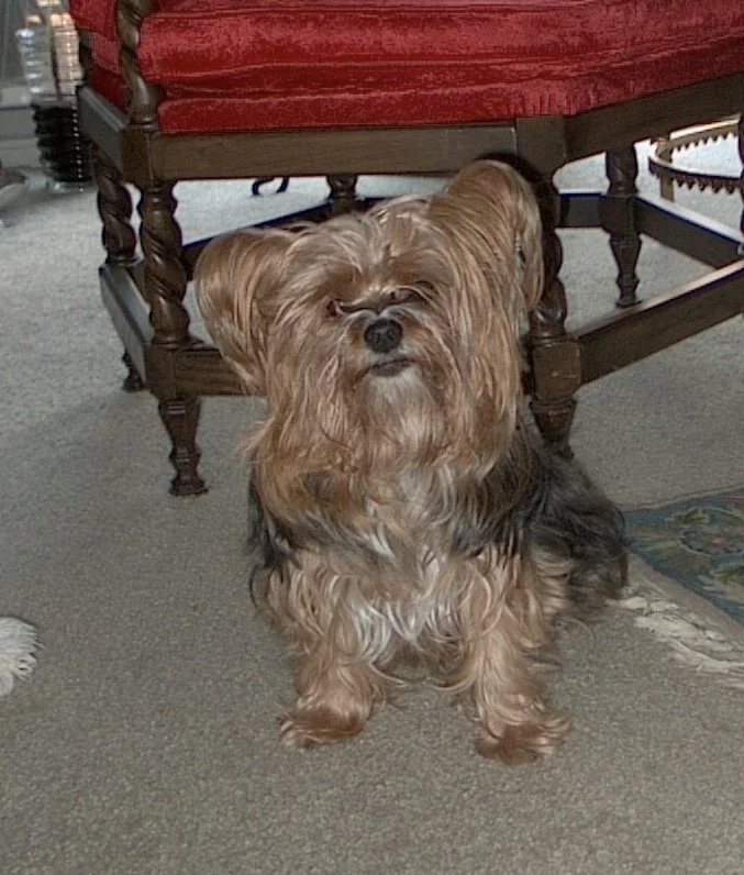 Picture 019_Original.jpg