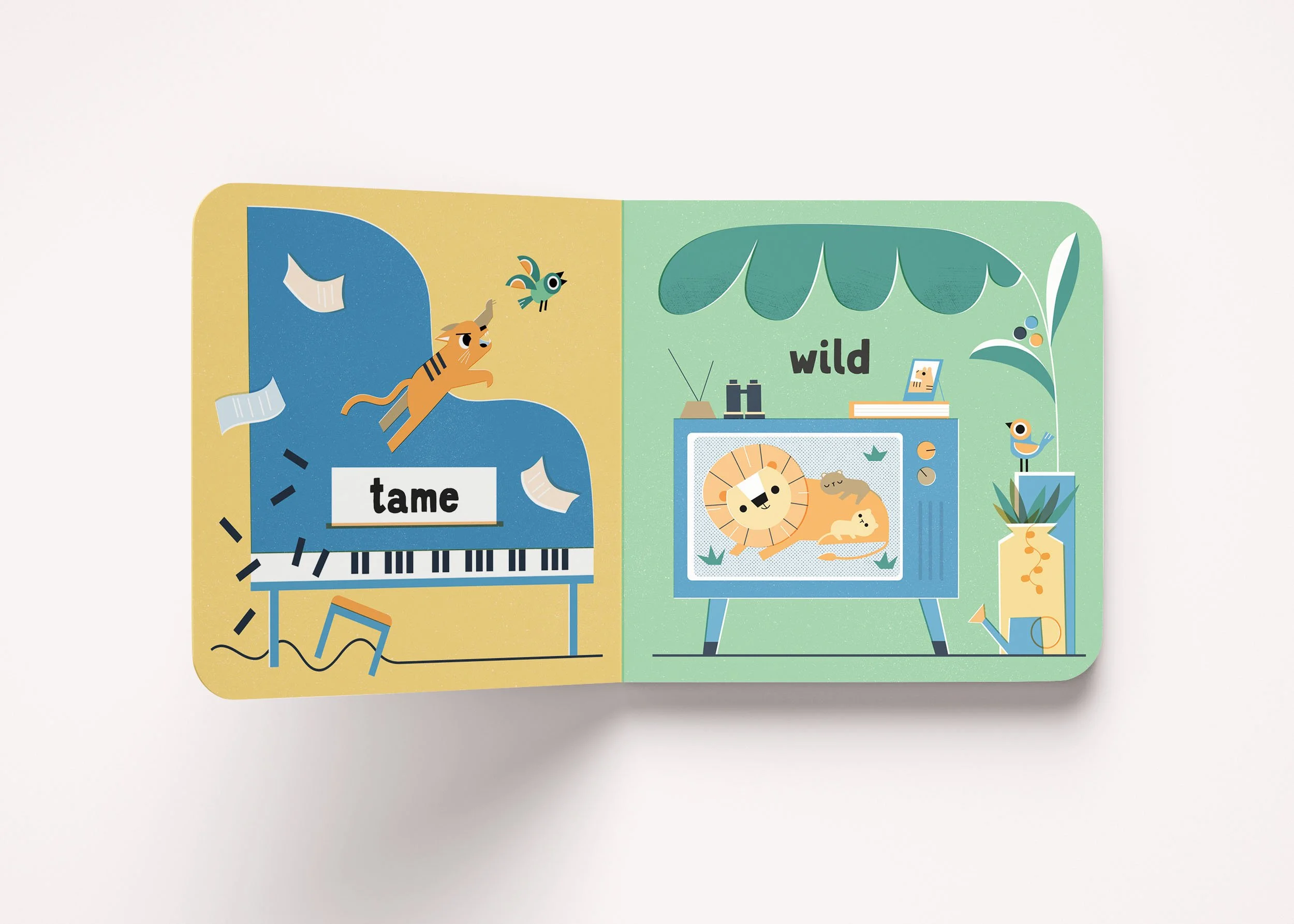 in-an-out-cat-opposites-book-tame-wild-hardiegrant-kiahingfay.jpg