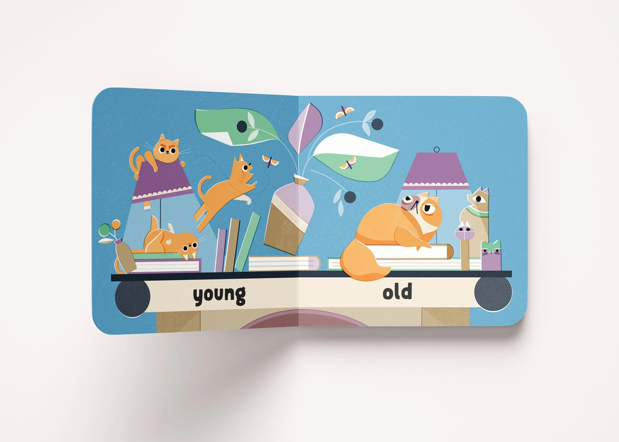 in-an-out-cat-opposites-book-young-old-hardiegrant-kiahingfay.jpg
