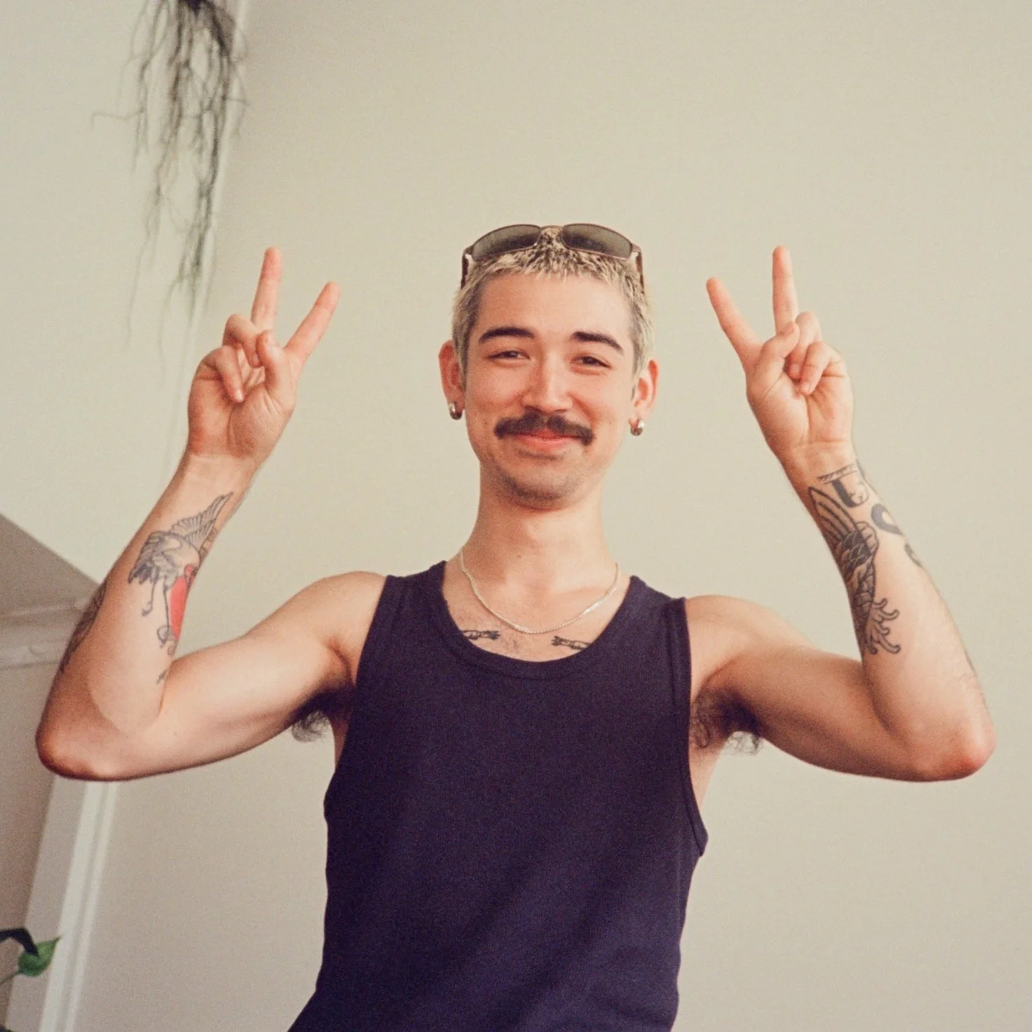 Dillon.jpg