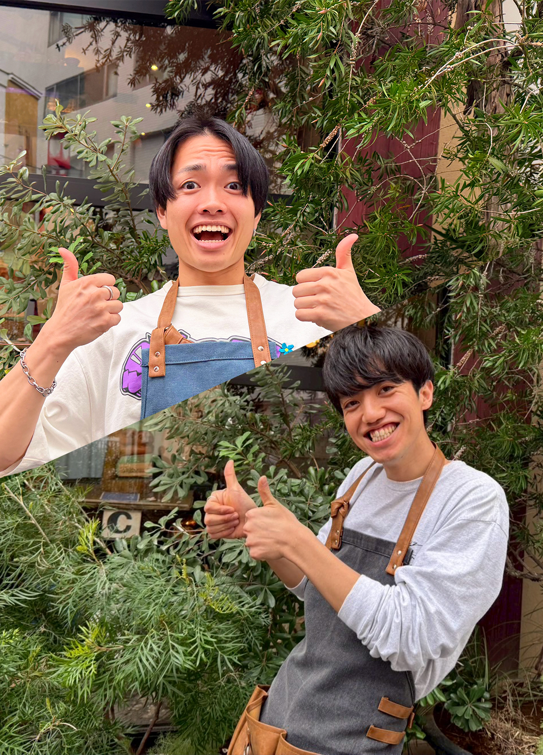 ezo hizen brews.png