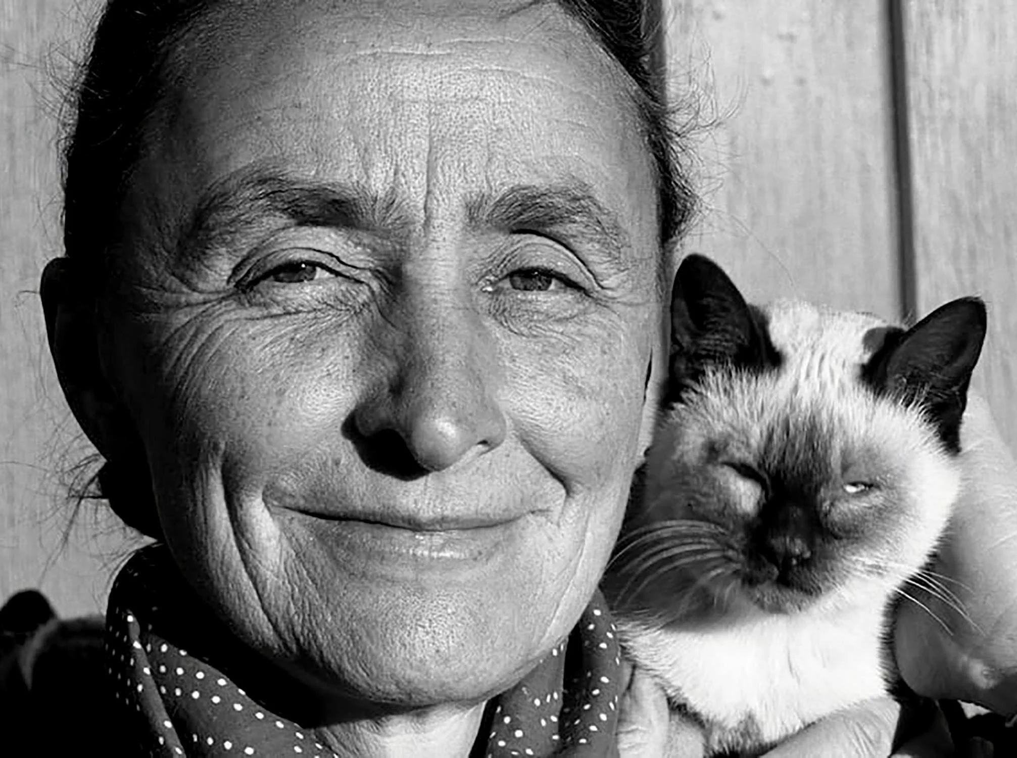 Black and white photo of Artist Georgia O'Keeffe and her cat Jinx