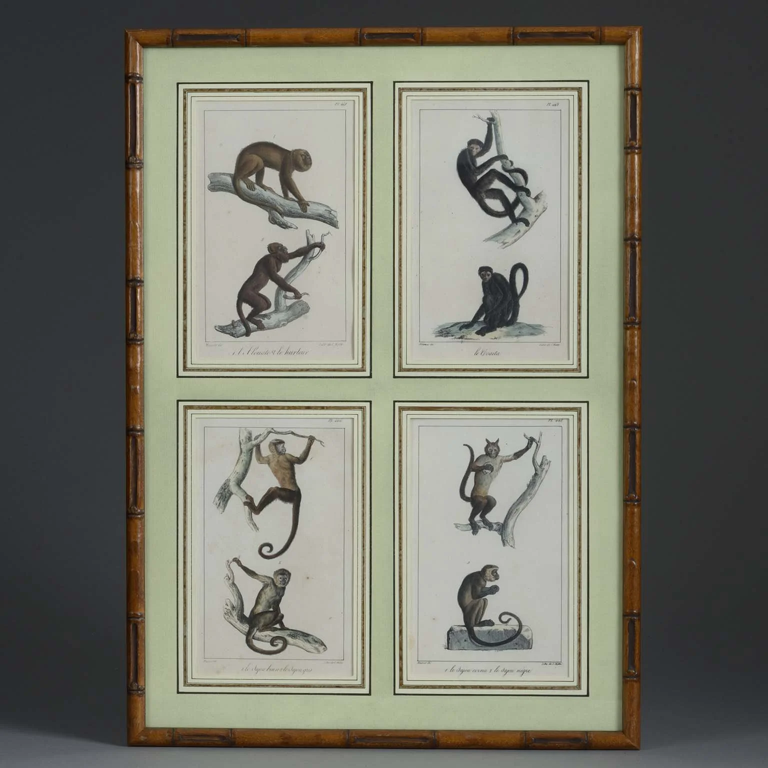 18th Century Monkey Prints
