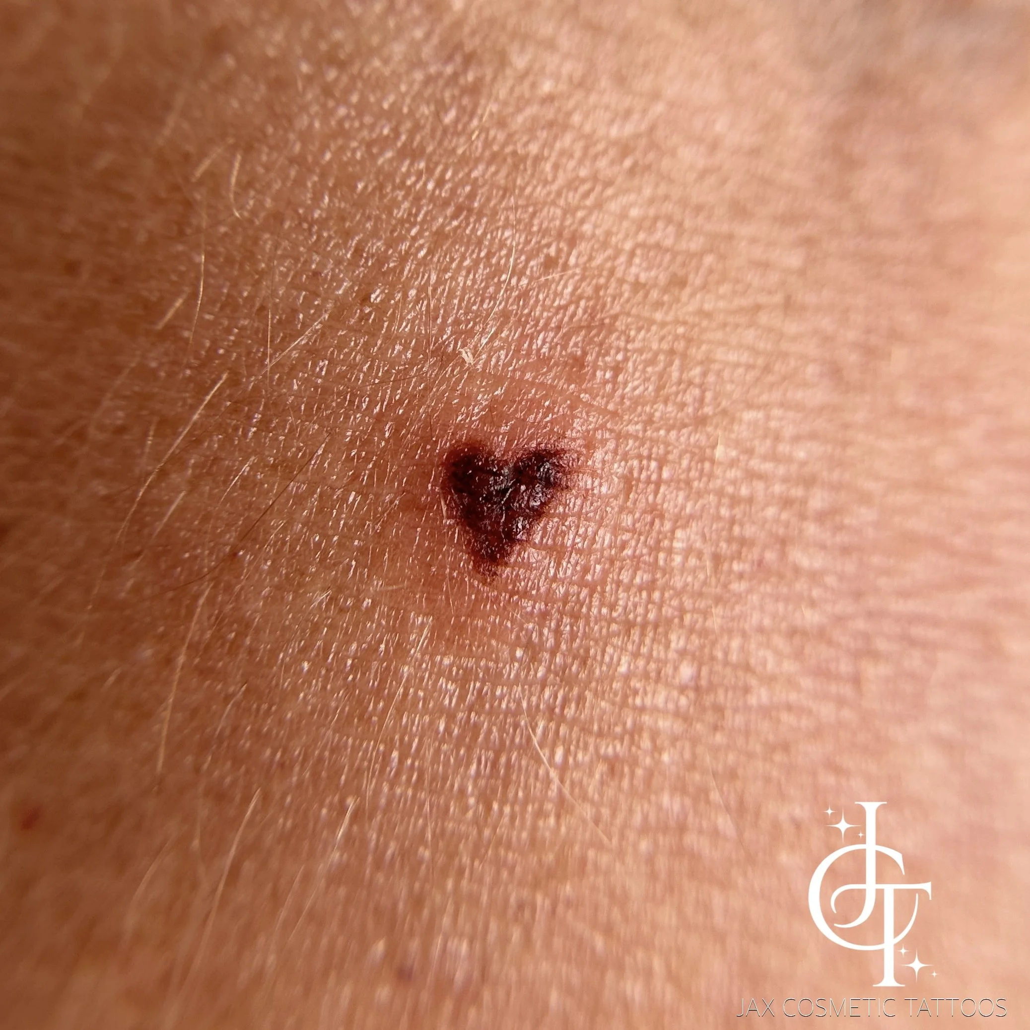 eZy Watermark_18-08-2025_04-40-10-2190PM.JPG