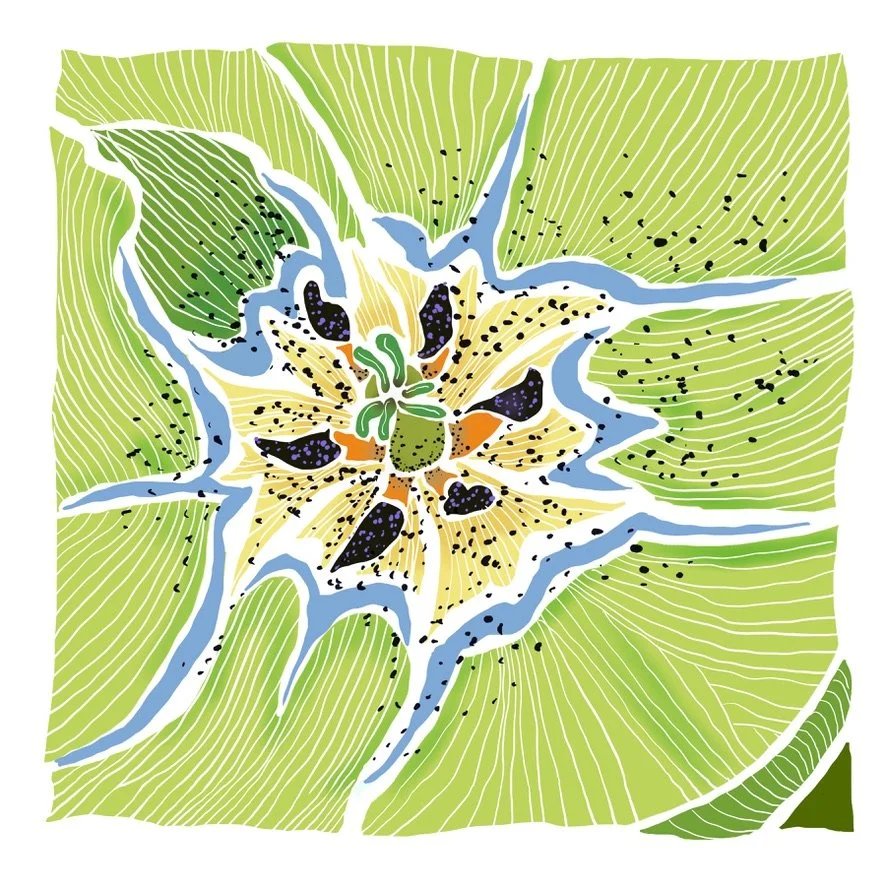 Green Tulip, LE Giclée Print, 8x8"