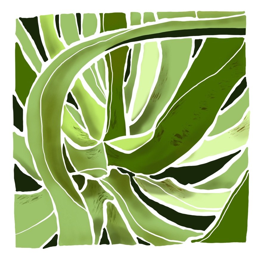 Aloe-- One Fine Day Series