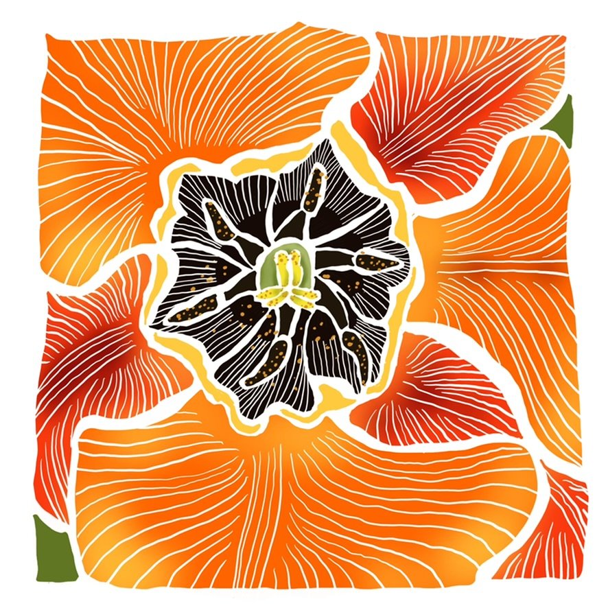Orange-- As You Are Series